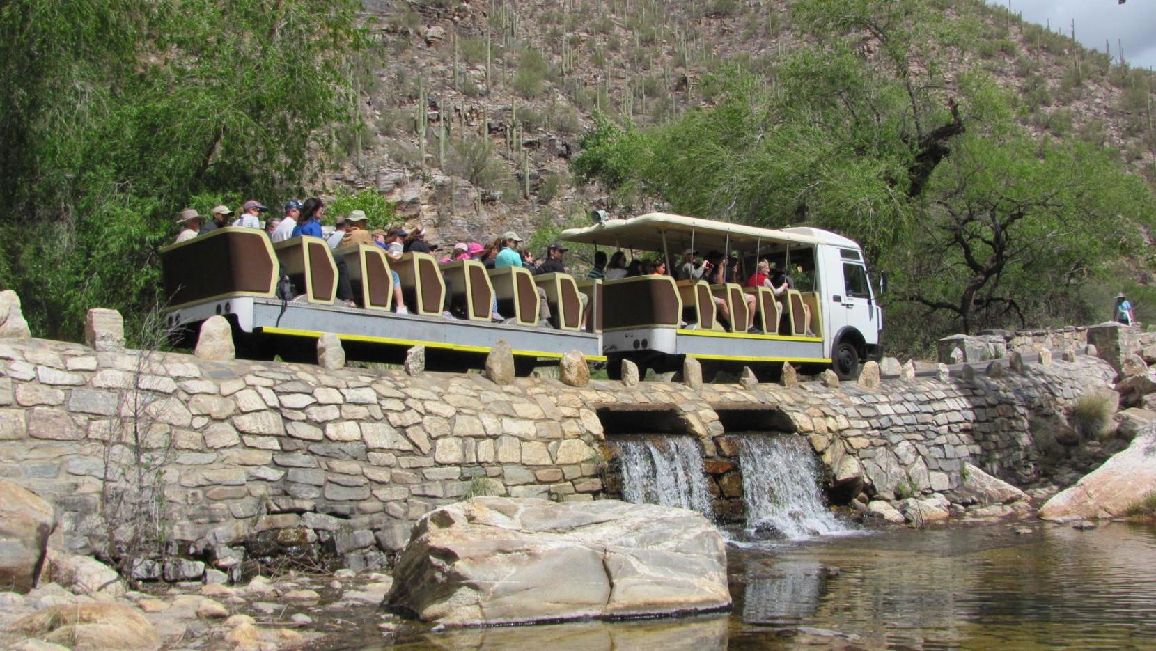 Permit to operate Sabino shuttle to be opened for 'competitive process'
